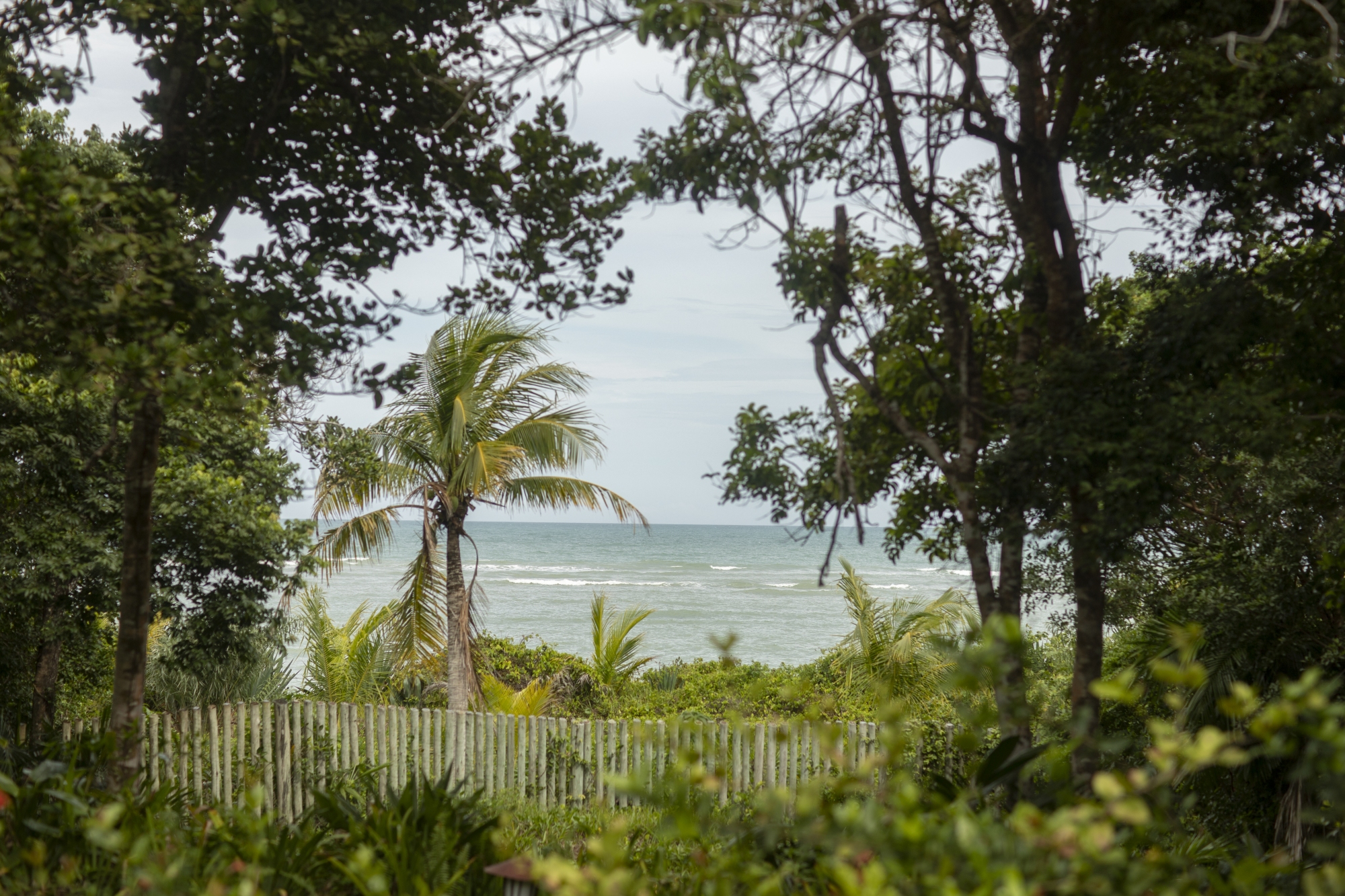 Eventos na Praia